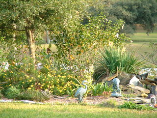 Filename=12-25-02_037.jpg
Filesize=1276KiB
Dimensions=2048x1536
Date added=Sep 28, 2019 12-25-02_037.jpg