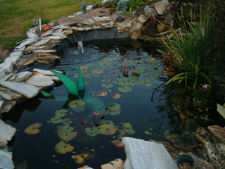 Filename=12-25-02_054.jpg
Filesize=1192KiB
Dimensions=2048x1536
Date added=Sep 28, 2019 12-25-02_054.jpg