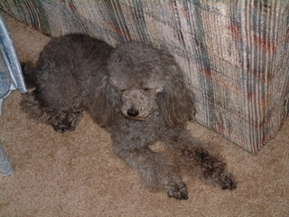 Filename=12-25-02_065.jpg
Filesize=1247KiB
Dimensions=2048x1536
Date added=Sep 28, 2019 12-25-02_065.jpg