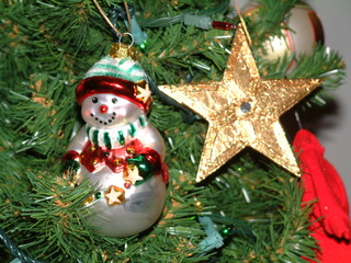 Filename=12-25-02_076.jpg
Filesize=1277KiB
Dimensions=2048x1536
Date added=Sep 28, 2019 12-25-02_076.jpg