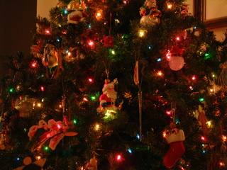 Filename=12-25-02_077.jpg
Filesize=1252KiB
Dimensions=2048x1536
Date added=Sep 28, 2019 12-25-02_077.jpg