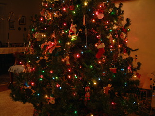 Filename=12-25-02_079.jpg
Filesize=1249KiB
Dimensions=2048x1536
Date added=Sep 28, 2019 12-25-02_079.jpg