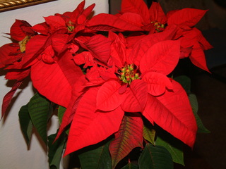 Filename=12-25-02_085.jpg
Filesize=1202KiB
Dimensions=2048x1536
Date added=Sep 28, 2019 12-25-02_085.jpg