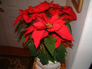 Filename=12-25-02_094.jpg
Filesize=1232KiB
Dimensions=2048x1536
Date added=Sep 28, 2019 12-25-02_094.jpg