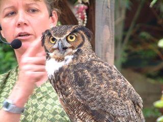 Filename=3-03AKMK_004.jpg
Filesize=1266KiB
Dimensions=2048x1536
Date added=Sep 28, 2019 3-03AKMK_004.jpg