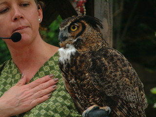 Filename=3-03AKMK_005.jpg
Filesize=1182KiB
Dimensions=2048x1536
Date added=Sep 28, 2019 3-03AKMK_005.jpg