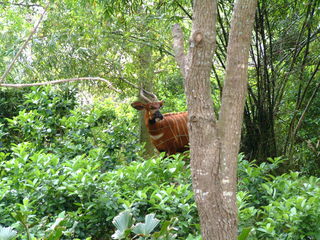 Filename=3-03AKMK_006.jpg
Filesize=1250KiB
Dimensions=2048x1536
Date added=Sep 28, 2019 3-03AKMK_006.jpg