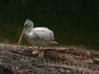 Filename=3-03AKMK_008.jpg
Filesize=1187KiB
Dimensions=2048x1536
Date added=Sep 28, 2019 3-03AKMK_008.jpg