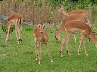 Filename=3-03AKMK_009.jpg
Filesize=1205KiB
Dimensions=2048x1536
Date added=Sep 28, 2019 3-03AKMK_009.jpg