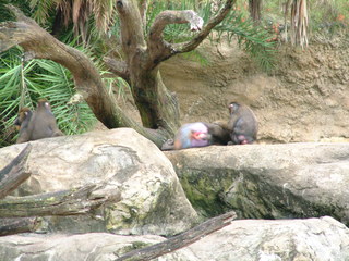 Filename=3-03AKMK_011.jpg
Filesize=1267KiB
Dimensions=2048x1536
Date added=Sep 28, 2019 3-03AKMK_011.jpg