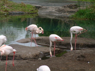 Filename=3-03AKMK_014.jpg
Filesize=1210KiB
Dimensions=2048x1536
Date added=Sep 28, 2019 3-03AKMK_014.jpg