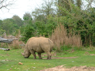 Filename=3-03AKMK_018.jpg
Filesize=1279KiB
Dimensions=2048x1536
Date added=Sep 28, 2019 3-03AKMK_018.jpg