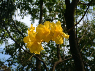 Filename=3-03AKMK_020.jpg
Filesize=1214KiB
Dimensions=2048x1536
Date added=Sep 28, 2019 3-03AKMK_020.jpg