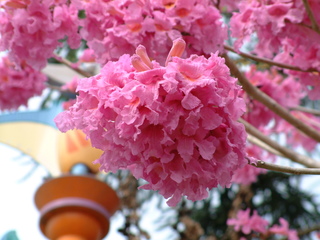 Filename=3-03AKMK_021.jpg
Filesize=1241KiB
Dimensions=2048x1536
Date added=Sep 28, 2019 3-03AKMK_021.jpg