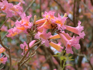 Filename=3-03AKMK_022.jpg
Filesize=1245KiB
Dimensions=2048x1536
Date added=Sep 28, 2019 3-03AKMK_022.jpg