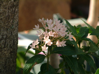 Filename=3-03ioauni_021.jpg
Filesize=1244KiB
Dimensions=2048x1536
Date added=Sep 28, 2019 3-03ioauni_021.jpg