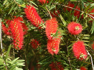 Filename=3-03ioauni_022.jpg
Filesize=1269KiB
Dimensions=2048x1536
Date added=Sep 28, 2019 3-03ioauni_022.jpg