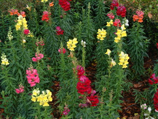 Filename=3-03ioauni_038.jpg
Filesize=1267KiB
Dimensions=2048x1536
Date added=Sep 28, 2019 3-03ioauni_038.jpg