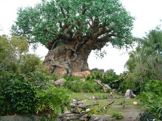 Filename=AK-2-2-05-_003.jpg
Filesize=1311KiB
Dimensions=2048x1536
Date added=Sep 28, 2019 AK-2-2-05-_003.jpg