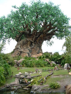 Filename=AK-2-2-05-_010.jpg
Filesize=1293KiB
Dimensions=1536x2048
Date added=Sep 28, 2019 AK-2-2-05-_010.jpg