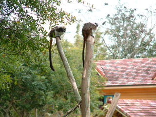 Filename=AK-2-2-05-_012.jpg
Filesize=1311KiB
Dimensions=2048x1536
Date added=Sep 28, 2019 AK-2-2-05-_012.jpg