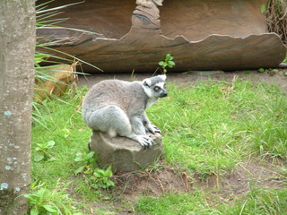 Filename=AK-2-2-05-_013.jpg
Filesize=1272KiB
Dimensions=2048x1536
Date added=Sep 28, 2019 AK-2-2-05-_013.jpg