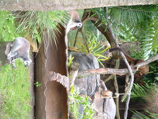 Filename=AK-2-2-05-_014.jpg
Filesize=1246KiB
Dimensions=2048x1536
Date added=Sep 28, 2019 AK-2-2-05-_014.jpg