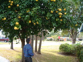 Filename=Christmas_2003_032.jpg
Filesize=1249KiB
Dimensions=2048x1536
Date added=Sep 28, 2019 Christmas_2003_032.jpg