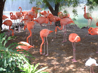 Filename=DSCF0001~6.JPG
Filesize=1245KiB
Dimensions=2048x1536
Date added=Sep 28, 2019 DSCF0001~6.JPG