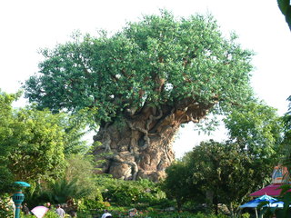 Filename=DSCF0002.JPG
Filesize=1366KiB
Dimensions=2048x1536
Date added=Sep 27, 2019 DSCF0002.JPG