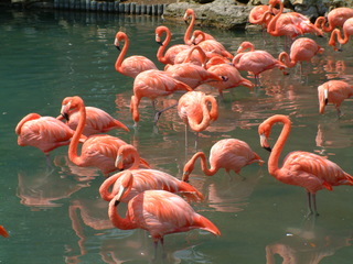 Filename=DSCF0003~6.JPG
Filesize=1230KiB
Dimensions=2048x1536
Date added=Sep 28, 2019 DSCF0003~6.JPG