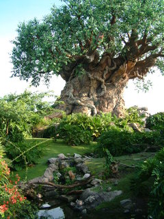 Filename=DSCF0004.JPG
Filesize=1272KiB
Dimensions=1536x2048
Date added=Sep 27, 2019 DSCF0004.JPG