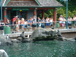 Filename=DSCF0006~6.JPG
Filesize=1262KiB
Dimensions=2048x1536
Date added=Sep 28, 2019 DSCF0006~6.JPG