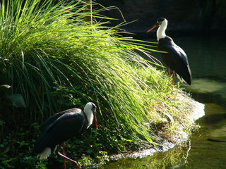 Filename=DSCF0007.JPG
Filesize=1235KiB
Dimensions=2048x1536
Date added=Sep 27, 2019 DSCF0007.JPG