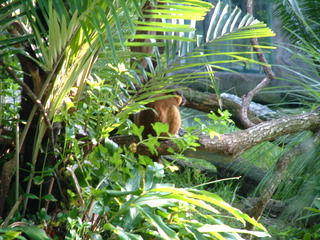 Filename=DSCF0008.JPG
Filesize=1278KiB
Dimensions=2048x1536
Date added=Sep 27, 2019 DSCF0008.JPG