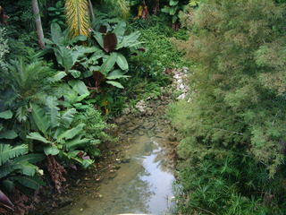 Filename=DSCF0008~1.JPG
Filesize=1132KiB
Dimensions=2048x1536
Date added=Sep 27, 2019 DSCF0008~1.JPG