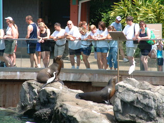 Filename=DSCF0009~6.JPG
Filesize=1253KiB
Dimensions=2048x1536
Date added=Sep 28, 2019 DSCF0009~6.JPG