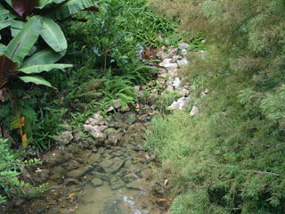 Filename=DSCF0010~1.JPG
Filesize=1138KiB
Dimensions=2048x1536
Date added=Sep 27, 2019 DSCF0010~1.JPG