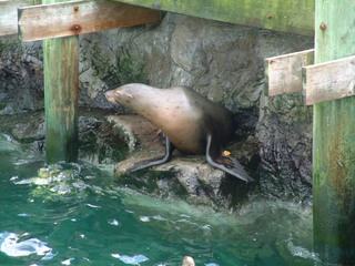 Filename=DSCF0010~6.JPG
Filesize=1261KiB
Dimensions=2048x1536
Date added=Sep 28, 2019 DSCF0010~6.JPG