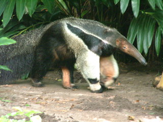 Filename=DSCF0013.JPG
Filesize=1136KiB
Dimensions=2048x1536
Date added=Sep 27, 2019 DSCF0013.JPG