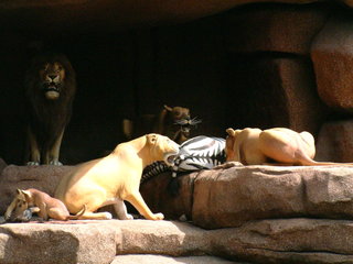 Filename=DSCF0015~2.JPG
Filesize=1125KiB
Dimensions=2048x1536
Date added=Sep 28, 2019 DSCF0015~2.JPG