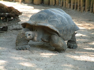 Filename=DSCF0015~8.JPG
Filesize=1264KiB
Dimensions=2048x1536
Date added=Sep 28, 2019 DSCF0015~8.JPG