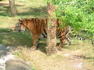 Filename=DSCF0019~8.JPG
Filesize=1241KiB
Dimensions=2048x1536
Date added=Sep 28, 2019 DSCF0019~8.JPG