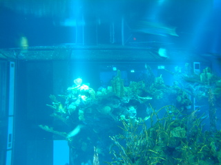 Filename=DSCF0020.JPG
Filesize=1211KiB
Dimensions=2048x1536
Date added=Sep 27, 2019 DSCF0020.JPG