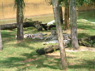 Filename=DSCF0020~7.JPG
Filesize=1211KiB
Dimensions=2048x1536
Date added=Sep 28, 2019 DSCF0020~7.JPG