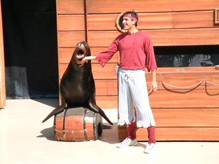 Filename=DSCF0025~4.JPG
Filesize=1284KiB
Dimensions=2048x1536
Date added=Sep 28, 2019 DSCF0025~4.JPG