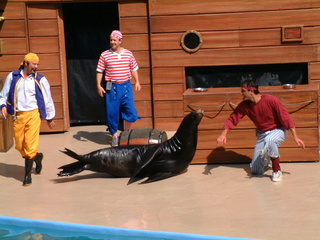 Filename=DSCF0026~4.JPG
Filesize=1244KiB
Dimensions=2048x1536
Date added=Sep 28, 2019 DSCF0026~4.JPG