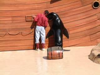 Filename=DSCF0028~4.JPG
Filesize=1268KiB
Dimensions=2048x1536
Date added=Sep 28, 2019 DSCF0028~4.JPG