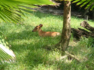 Filename=DSCF0028~6.JPG
Filesize=1237KiB
Dimensions=2048x1536
Date added=Sep 28, 2019 DSCF0028~6.JPG