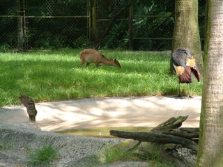 Filename=DSCF0029~6.JPG
Filesize=1241KiB
Dimensions=2048x1536
Date added=Sep 28, 2019 DSCF0029~6.JPG